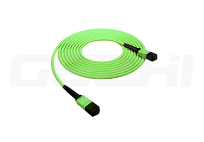 MPO OM5 Patch Cord